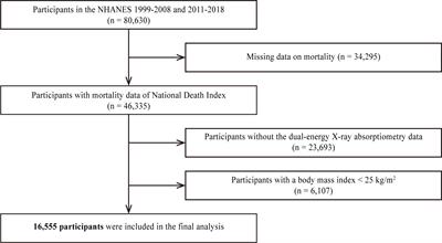Association between body composition and the risk of mortality in the obese population in the United States